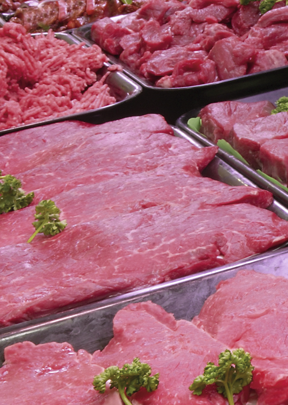 LED Streifen FOOD 24VDC 72W SPECIAL MEAT Rolle 5m