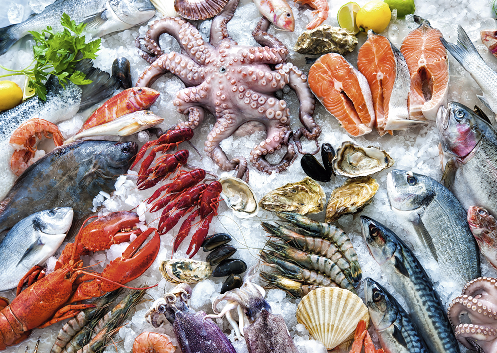 LED Streifen FOOD 24VDC 72W FISH Rolle 5m